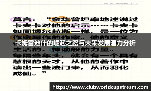 卡姆雷迪什的崛起之路与未来发展潜力分析